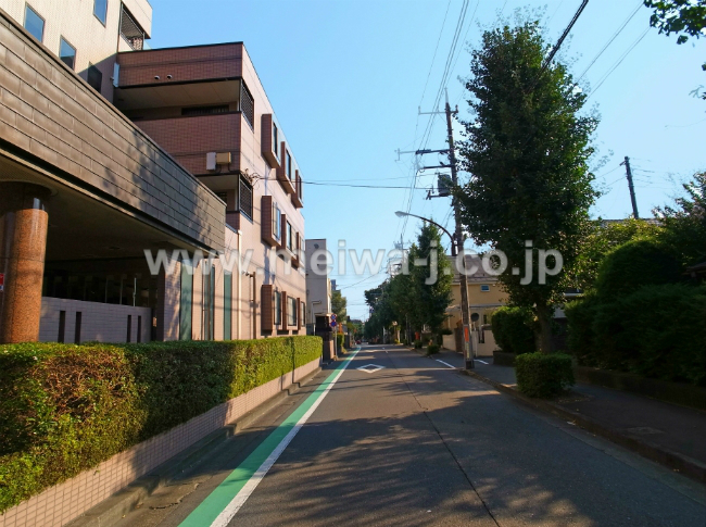 シンリープラグレス21写真