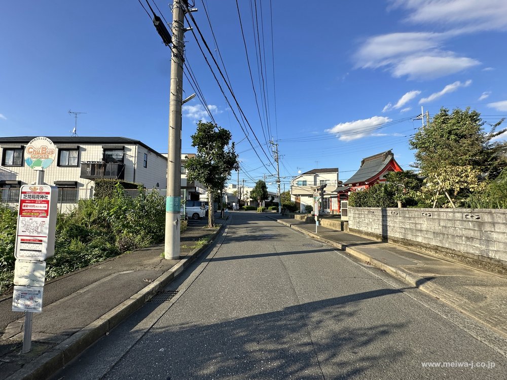 スプルースの写真5