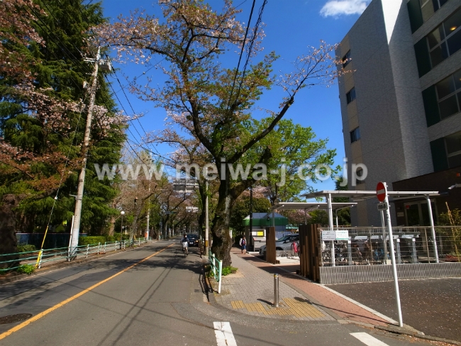 テオリア府中写真