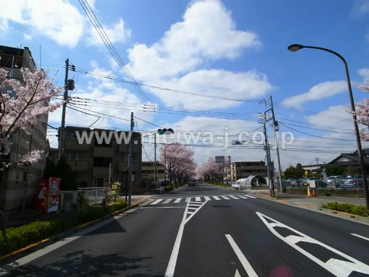 ベルジュノー是政の写真4