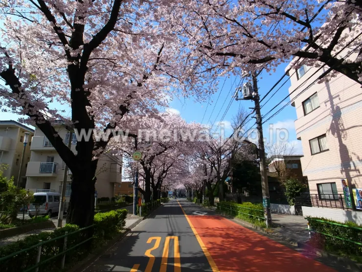 ウィングヒルMの写真5