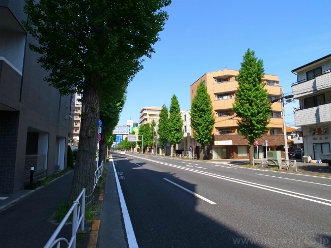 S-3318若松町2丁目一棟売マンション写真5