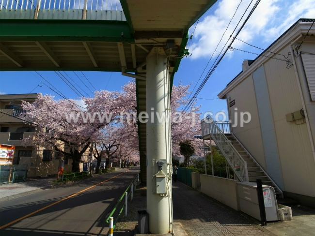 S-3324紅葉丘1丁目売りアパート現地4