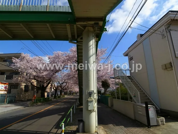 府中市紅葉丘1丁目の一棟売アパート（S-3324）の写真4