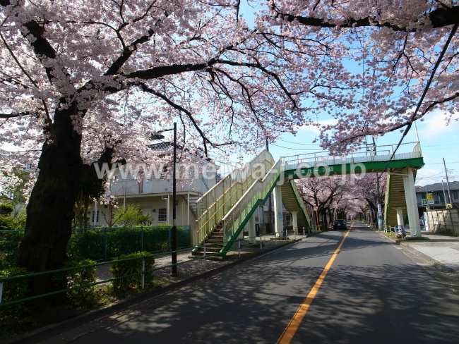 S-3324紅葉丘1丁目売りアパート写真5