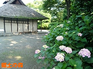 郷土の森博物館