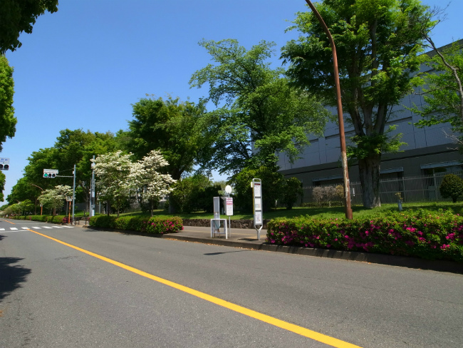 朝日町の停留所(改正前に撮影)