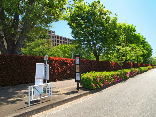 東京外国語大学前の停留所(改正前に撮影)