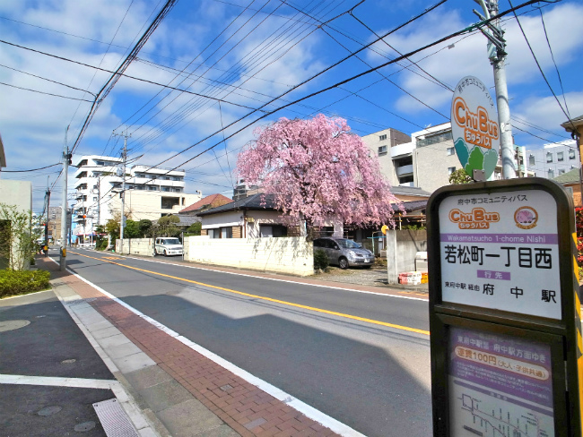 若松町一丁目西の停留所(改正前に撮影)