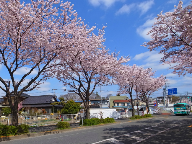 第八小学校(上り)