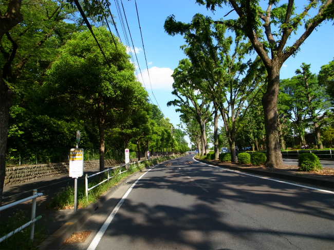 競馬博物館(下り)