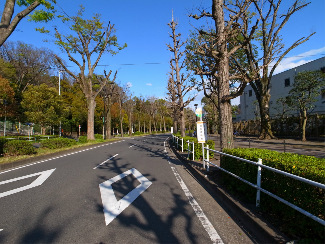 競馬博物館(上り)