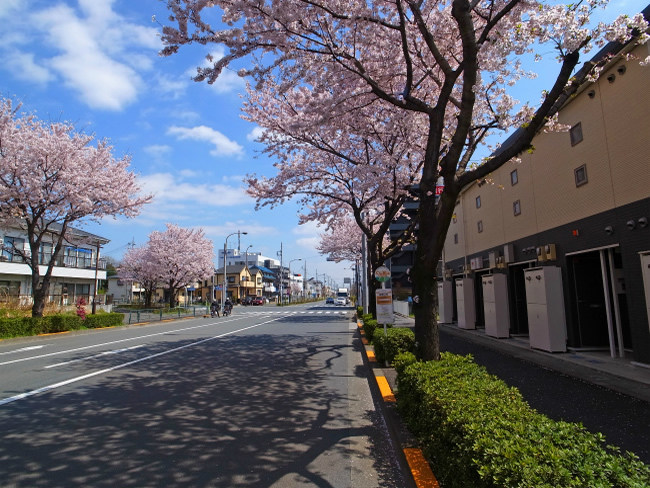 鶴巻公園(下り)
