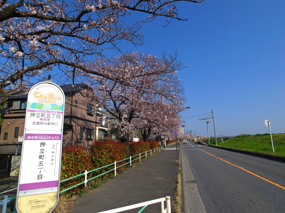 押立町五丁目(下り)
