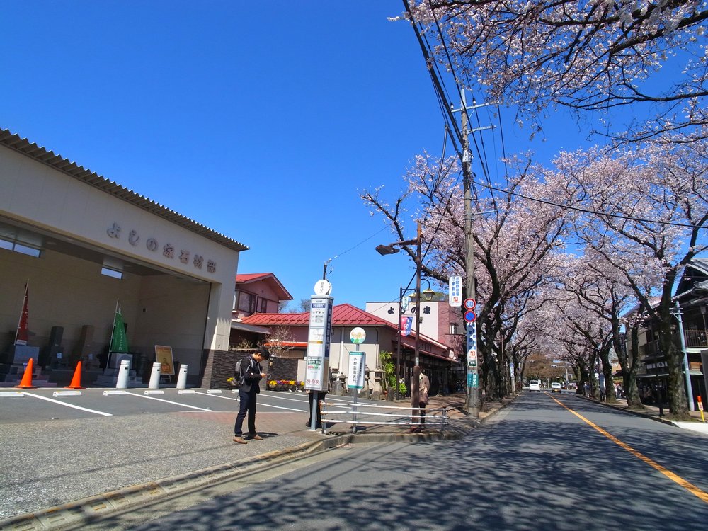 多磨霊園表門の停留所（下り）