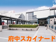 府中スカイナード