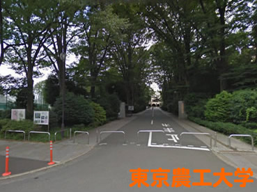東京農工大学の外観