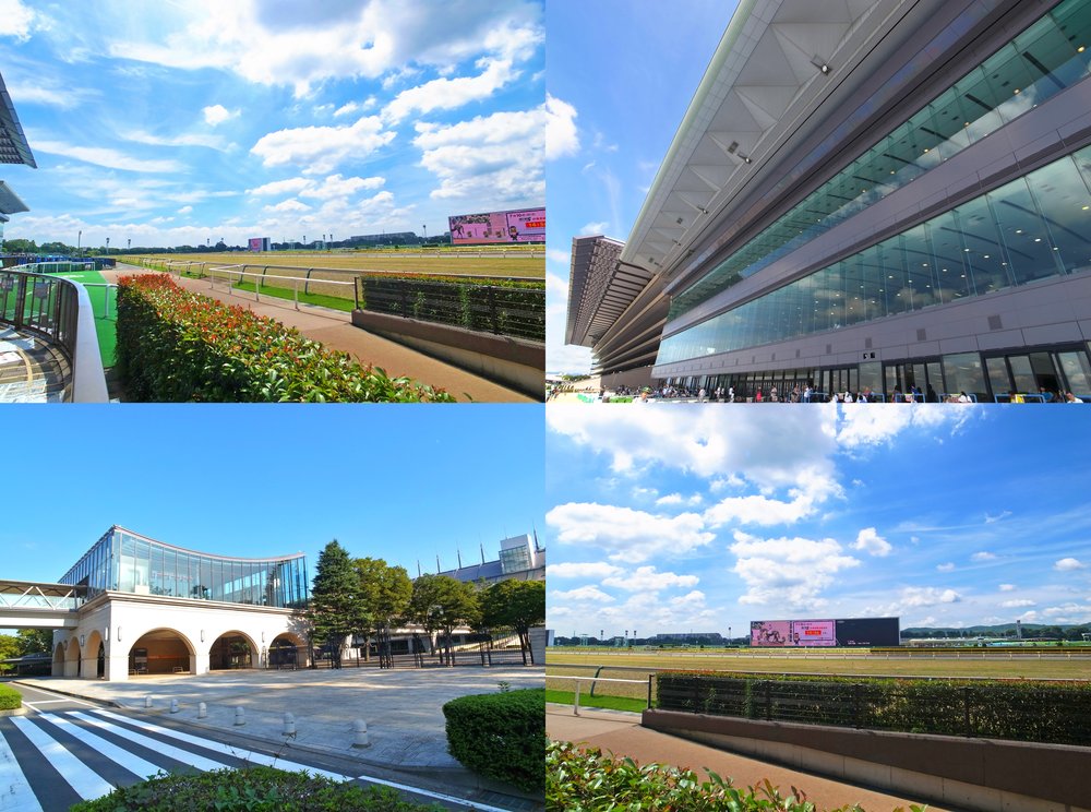 東京競馬場