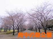 府中の森
