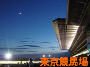 東京競馬場