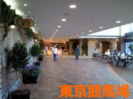 東京競馬場