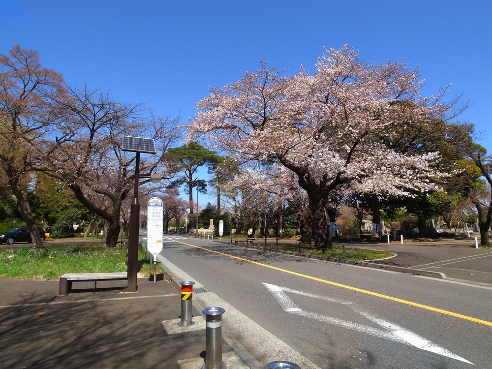 霊園中央二十号地の停留所（武蔵小金井駅南口行き）