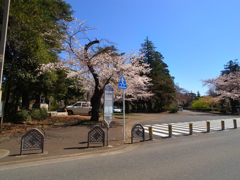 霊園南七号地の停留所（多磨霊園駅行き）