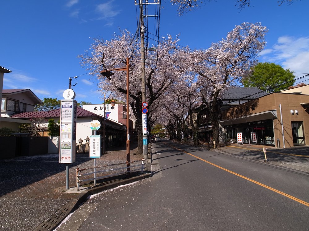 多磨霊園表門の停留所（武蔵小金井駅南口行き）