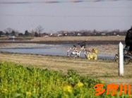 多摩川