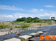多摩川
