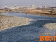 多摩川２