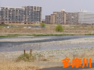 多摩川