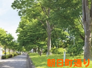 朝日町通り