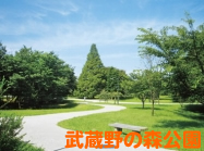 武蔵野の森公園