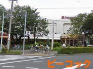 ピーコック