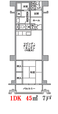 1DK45㎡