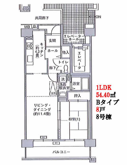 1LDK Bタイプ間取り
