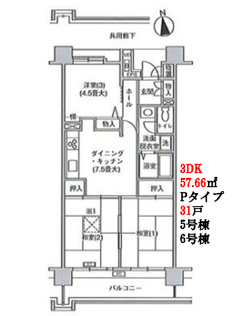 府中グリーンハイツ3DK Pタイプ間取り