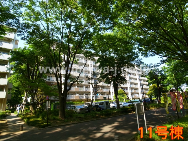 11号棟